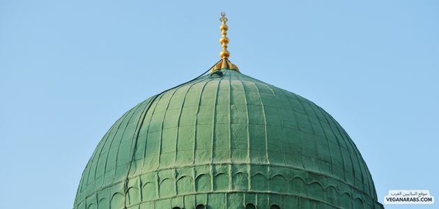 النباتية حرام في الإسلام
