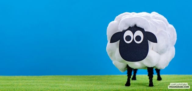 عيد أضحى نباتي ٥ أكلات نباتية سريعة صحية