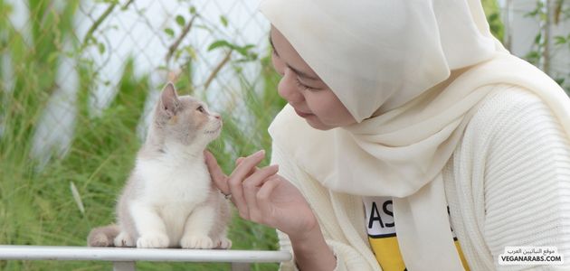 هل الإسلام يحث بالرفق بالحيوان؟ وماهي علاقة النباتية و الإسلام؟