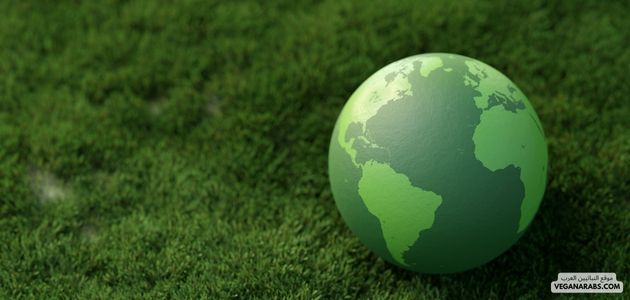 ما هو نباتي وهل العالم النباتي يكبر كل يوم؟