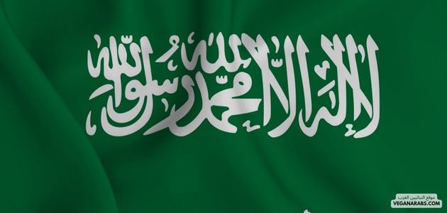 هل النباتيه صحيه؟ تجارب نباتيين امريكين مع النباتيه وكيف تحولت حياتهم للافضل