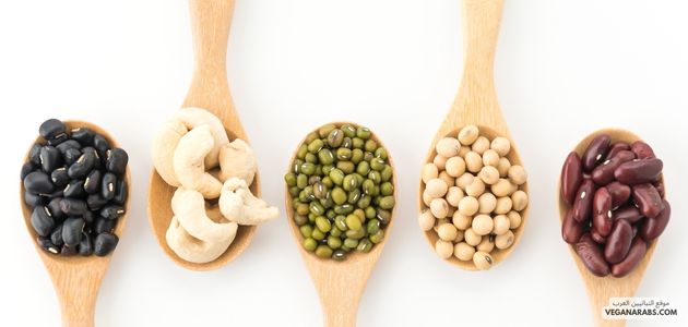 ما هي الحبوب التي تحتوي على معظم البروتين؟