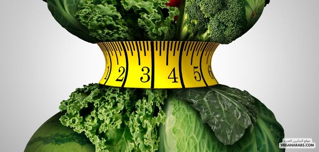 النظام الغذائي النباتي لفقدان الوزن بشكل صحي ومستدام. وداعا ، وداعا كيتو