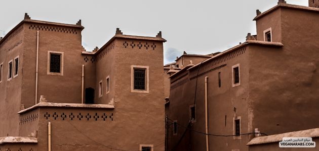هل استطيع ان اكون نباتي في دول الخليج؟