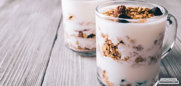 طريقة تحضير أكواب جرانولا زبادي مثلج