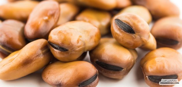 فول مدمس نباتي