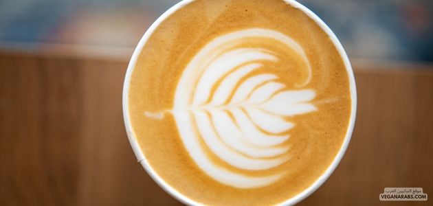 بروتين نباتي كريمي موكا لاتيه