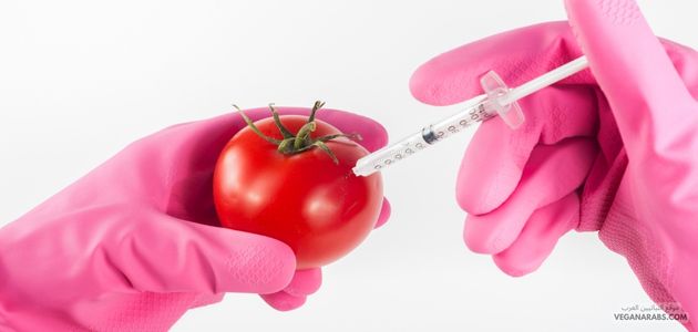 أثار الخضروات والفواكه المعدلة وراثياً على صحتنا GMO - جي ام او