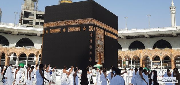 آراء العلماء الإسلاميين حول النباتية: مراجعة شاملة