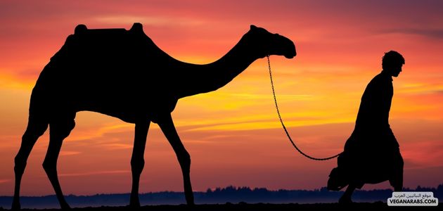 حديث عن العرب
