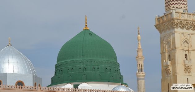 ماذا قال النبي،ﷺ، عن الصحة؟
