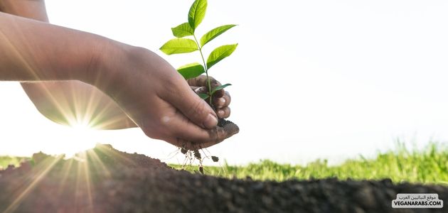 ماهو تاريخ النزعة النباتية؟