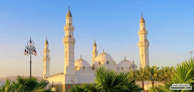 تحقيق التوازن بين الاختيارات الشخصية: التنقل في تفضيلات النظام الغذائي في السياق الإسلامي