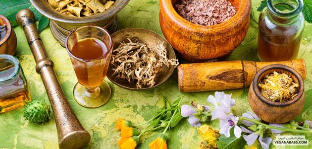 النباتات الطبية: موسوعة عن الاستخدامات والفوائد الصحية Medicinal Plants: An Encyclopedia of Uses and Health Benefits