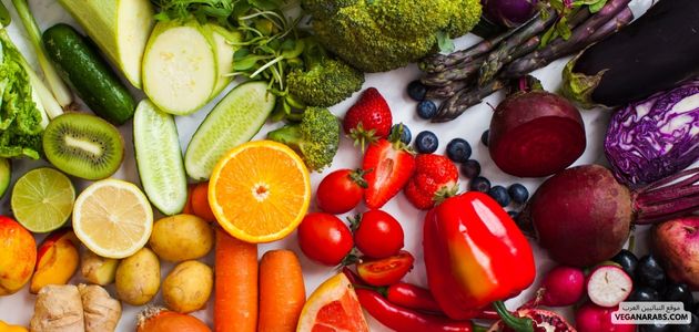 تعريف تغذية نباتية: مفهوم، فوائد، وتنوع Defining a Plant-Based Diet: Concept, Benefits, and Variety