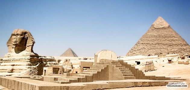 متى ظهر النباتيين؟ تاريخ النباتية؟ تاريخ العرب والنباتية؟ ما هي النباتات الأقدم في عصر الرسول صلى الله عليه وسلم؟
