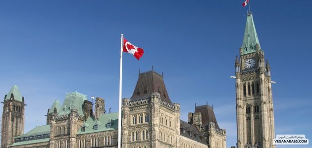 المنتجات النباتية في اوتاوا كندا Plant-based products in Ottawa, Canada