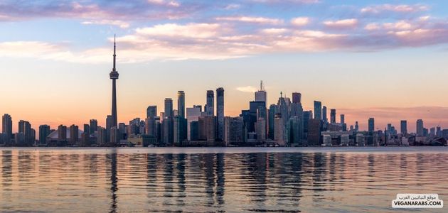 المنتجات النباتية في تورونتو كندا Plant-Based Products in Toronto, Canada