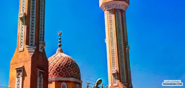 : ما هي أفضل الأماكن والمنتجات النباتية في أسيوط مصر؟ What are the best vegan places and products in Assiut, Egypt