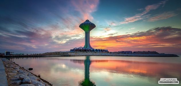 ما هي أفضل الأماكن والمنتجات النباتية في الدمام السعوديه؟ What are the best vegan places and products in Dammam, Saudi Arabia