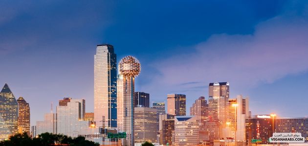 ما هي أفضل الأماكن والمنتجات النباتية في دالاس تكساس؟ What are the best vegan places and products in Dallas, Texas
