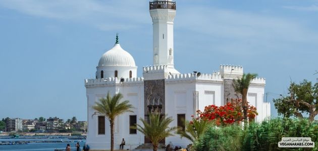 ما هي أفضل الأماكن والمنتجات النباتية في رشيد مصر؟ What are the best vegan places and products in Rashid, Egypt