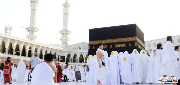 ما هي أفضل الأماكن والمنتجات النباتية في مكه السعوديه؟ What are the best places and vegan products in Mecca, Saudi Arabia