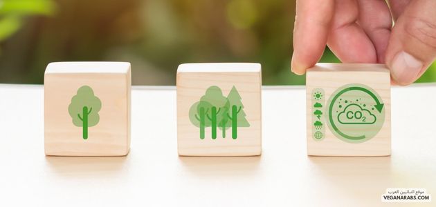ما هي الفوائد الصحية والبيئية للنباتية؟ What are the health and environmental benefits of vegetarianism pic showing environmental cubes