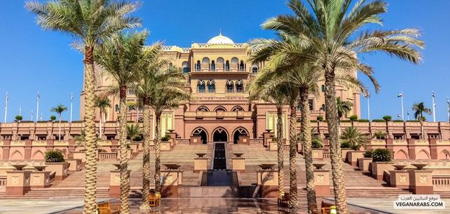 ما هي القصص الملهمة للشخصيات العامة والمؤثرين الذين اختاروا نمط حياة نباتي وبدأوا في ترويجه في الوسط العربي؟ What are the inspiring stories of public figures and influencers who have adopted a plant-based lifestyle and begun promoting it within the Arab world