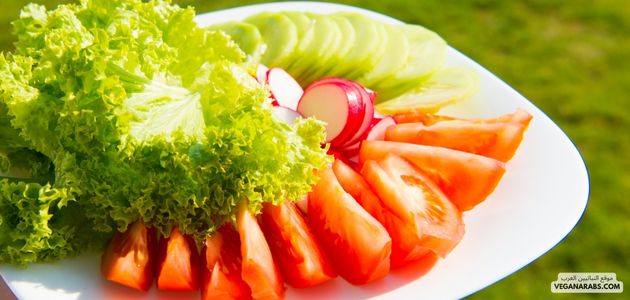 ما هي قصص ومبادرات النشطاء النباتيين في العالم العربي؟ What are the stories and initiatives of vegan activists in the Arab world