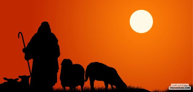 ماهو تأثير النباتية على الحياة الاجتماعية والاقتصادية في الشرق الأوسط؟