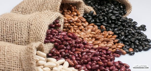 مصادر البروتين النباتية: أنواعها وفوائدها Plant-Based Protein Sources: Types and Benefits