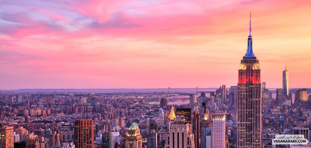 ما هي أفضل الأماكن والمنتجات النباتية في نيويورك أمريكا؟