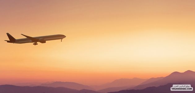 التحضير للرحلات والسفر كنباتي