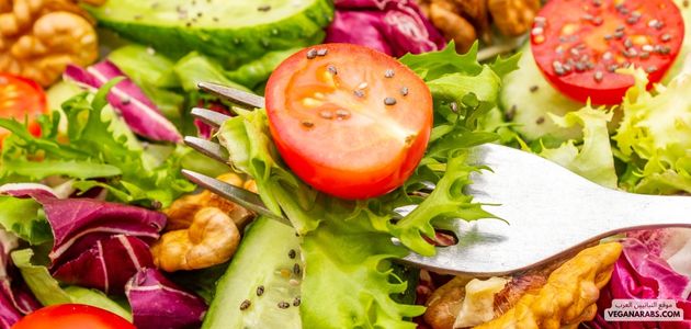 النباتية والتغذية العلاجية في الشرق الأوسط