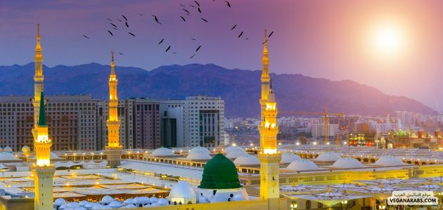 ما هي أفضل الأماكن والمنتجات النباتية في المدينة المنورة السعوديه؟