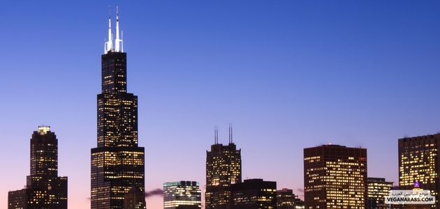 ما هي أفضل الأماكن والمنتجات النباتية في شيكاغوامريكا؟