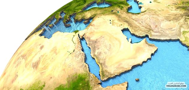 أسباب زيادة الطلب على النباتية في الشرق الأوسط