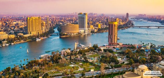 ما هي أفضل الأماكن والمنتجات النباتية في القاهرة مصر؟