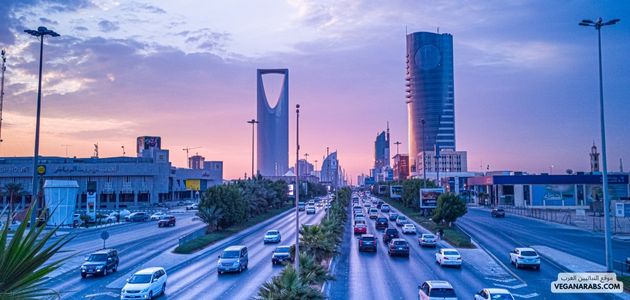 ما هي أفضل الأماكن والمنتجات النباتية في الرياض السعوديه؟