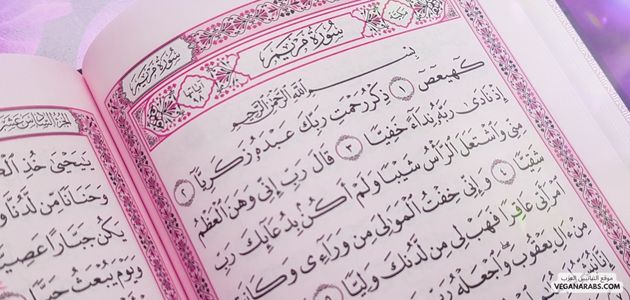 هل يعتبر النباتية خيارًا مقبولًا من الناحية الدينية في الثقافة الإسلامية؟