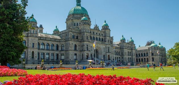 ما هي أفضل الأماكن والمنتجات النباتية في فيكتوريا كندا؟