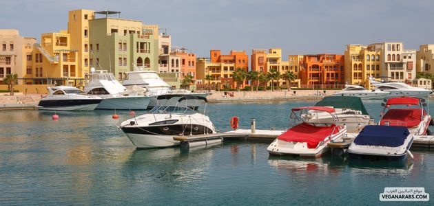 المنتجات النباتية في مارينا