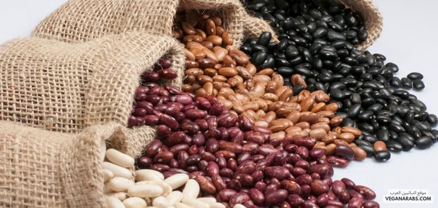 مصادر البروتين النباتية: أنواعها وفوائدها