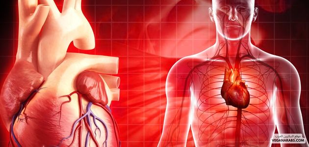 فوائد النباتية لصحة القلب