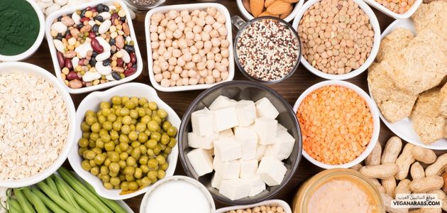 مصادر الدهون الصحية للنباتيين