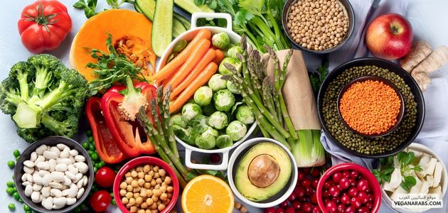 هل هناك أطباق نباتية تقليدية في الثقافة العربية يمكنني تجربتها؟ Are there traditional vegetarian dishes in Arab culture that I can try