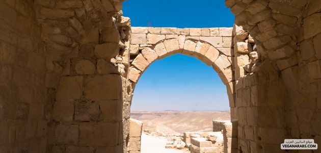 
هل هناك برامج محددة تُنفذ في المدارس أو المستشفيات لتشجيع النباتية؟