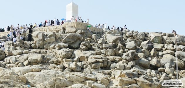 بداية ونهاية موسم الحج