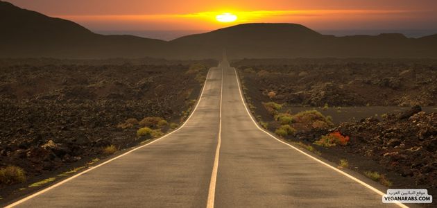 تأثير النباتية على تطوير السياحة البيئية في الشرق الأوسط